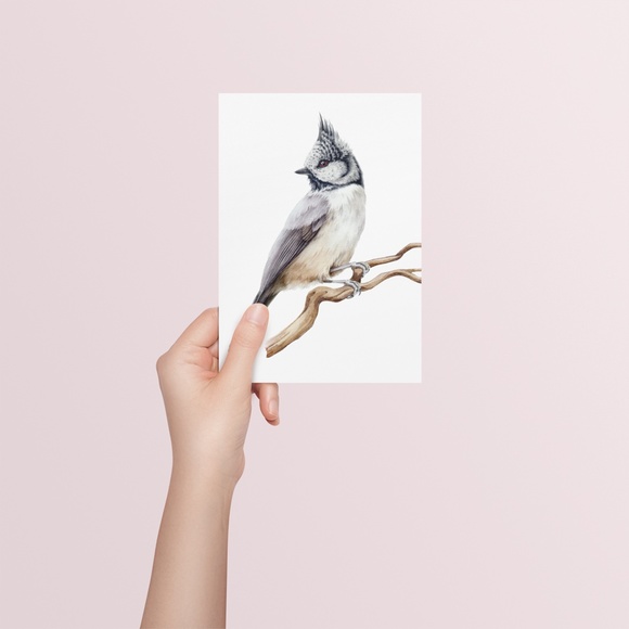 Crested Tit Bird Wall Art Watercolor Illustration Print Poster Card Unframed - Picture 6 of 7